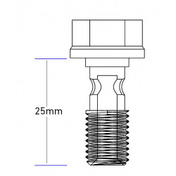 Banjo bolt Vis banjo M10x1.25 125 longueur 25mm sous tête Inox CNC